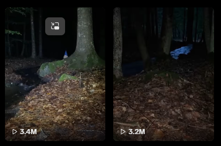 gnomessol's tweet photo. Views are climbing like crazy on these two videos, like 1mil more on both since I last checked it

$gnomes https://t.co/WvhxvuNntJ