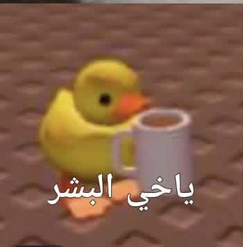 31_10oc's tweet photo. @iNotBn شي يشبه الصوره ذي https://t.co/VdkBTVjOgK