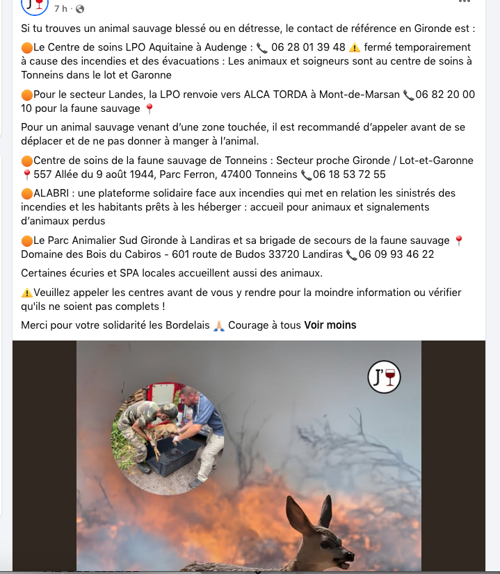 _BethsabeeB_'s tweet photo. Bordeaux: tous les centres d'accueil pour sauver les animaux. https://t.co/4YQqwKMO7p
