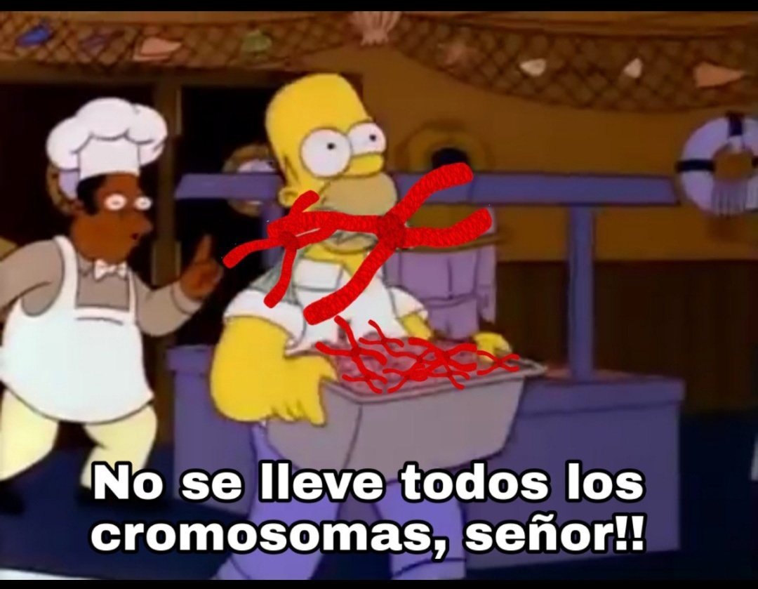 OFedee's tweet photo. @M_A_C7 @laurandipia Sos de Ecuador pa, no pasaste ni los dieciseisavos... por favor te pido, deja de coleccionar cromosomas https://t.co/VhmG3ARLNE