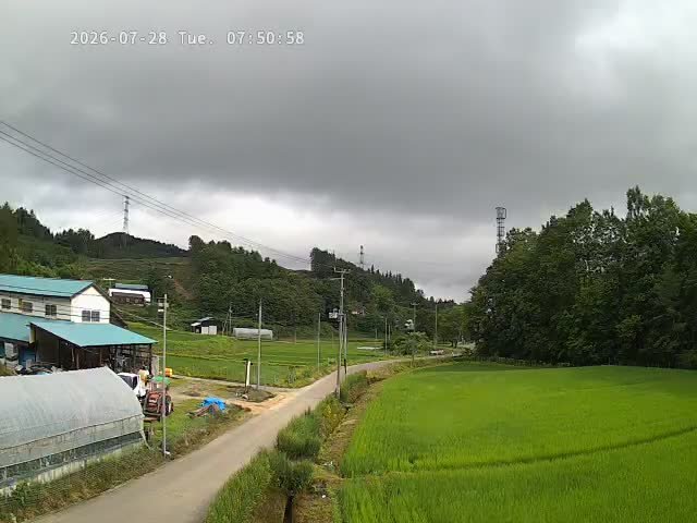 agri92ht's tweet photo. おはようございます🙇☁️
今朝のみやこじ里山どんより曇り空です午後は雨の予報です
今日はハウスの中での作業します早く晴天がほしいです❗ https://t.co/NTN8pmjVyO