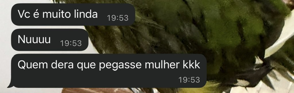viado da bike (bisexual version) tweet media