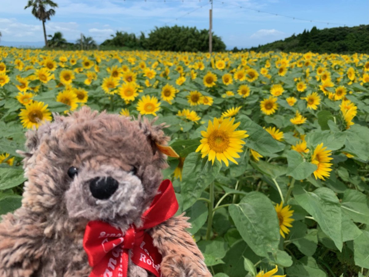 _rapyuta's tweet photo. おはようございます https://t.co/buI5Wr2avN