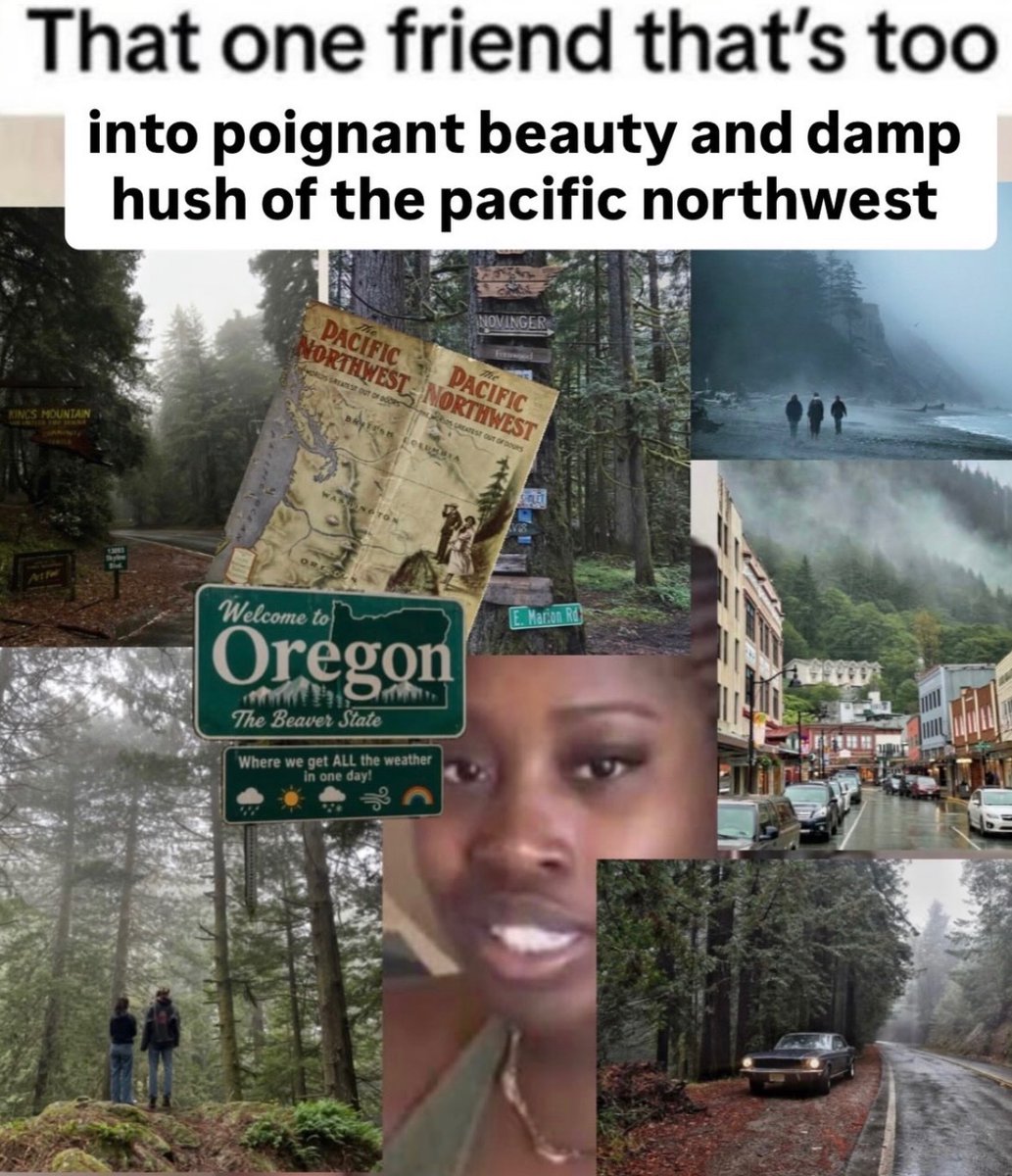 RespectfulMemes tweet picture