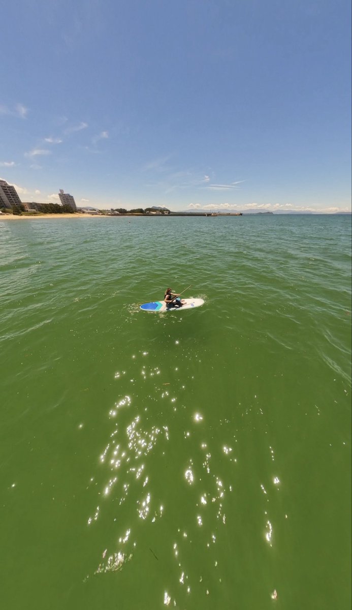 dkr_0801's tweet photo. 念願のsup🏄‍♀️
めーーーーっちゃ楽しかったーーー！！
今度はウインドサーフィンかサーフィン🏄‍♀️スクール行こっと🏄‍♂️🌊

写真座ってるけど基本立ってたし一度も落ちなかった✌️
陸の上ではダメだけど水の上は比較的大丈夫なのだ🐶仕事がんばろーっとどろん https://t.co/42GETfAMzE