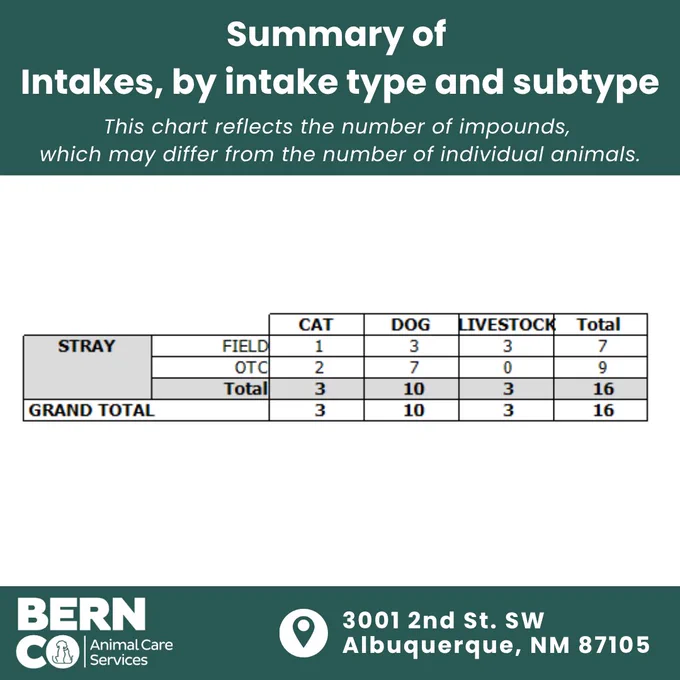 Table summarizing intake numbers of cats, dogs, and livestock by stray type and intake subtype, totaling 16 impounds.