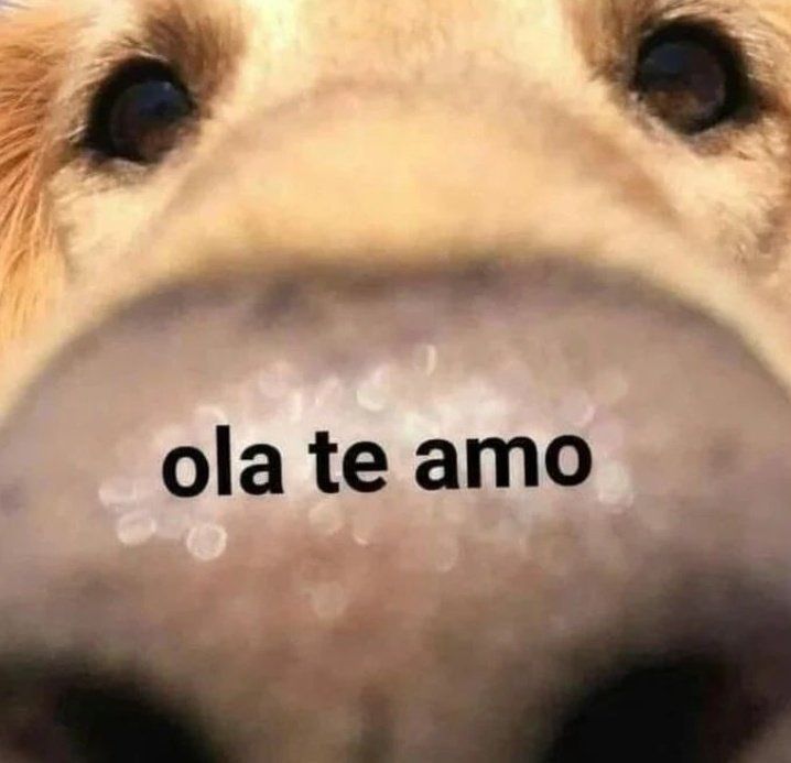 5gramasdememes's tweet photo. 😊 https://t.co/UI7QaqtgCi