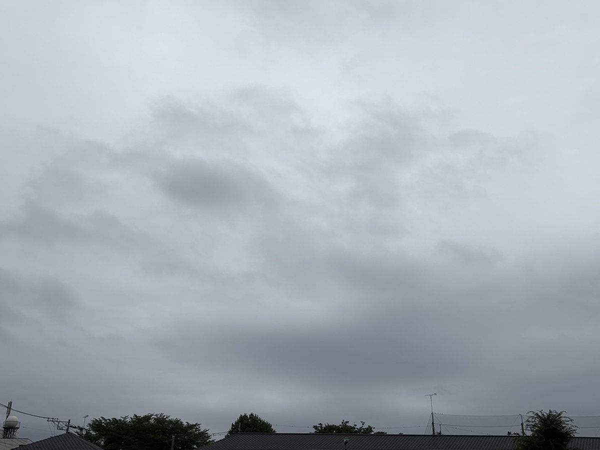 ishiyuki110's tweet photo. おはようございます😊
夕方から雨予報🌂忘れずに行ってきます💨 https://t.co/UQa1zIWK4e