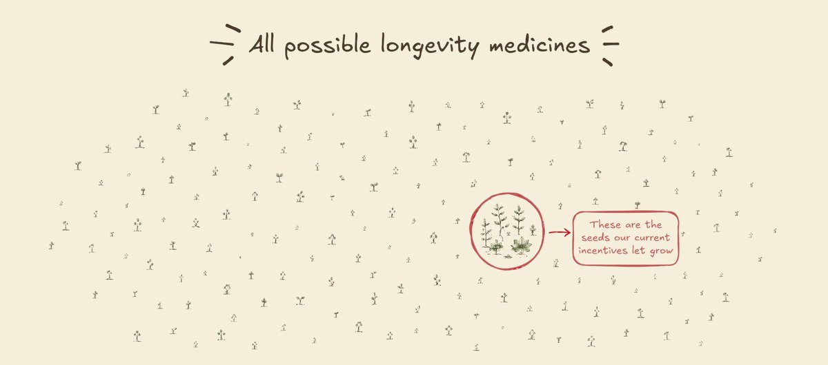 NornGroup's tweet photo. The problem is that age-related diseases accumulate. By 65, about half of people have at least two chronic diseases; by 85, three quarters do. Take one away, and you are soon in the grips of the next.

Yet modern medicine has crystallized around developing treatments for them one by one, reinforced by a drug-development system that directs candidates toward single-disease indications where uncertainty is easier to contain.

The result is Sisyphean medicine, destined to leave most old people less-but-still sick.

Longevity is the war against aging as the main limit on healthy life. It is the bright alternative, where we can change the course of later life by altering the ways our bodies break over time.

That includes discovering interventions, but it also goes beyond them. Longevity is a field-building effort aimed at expanding what medicine can test and commercialize.