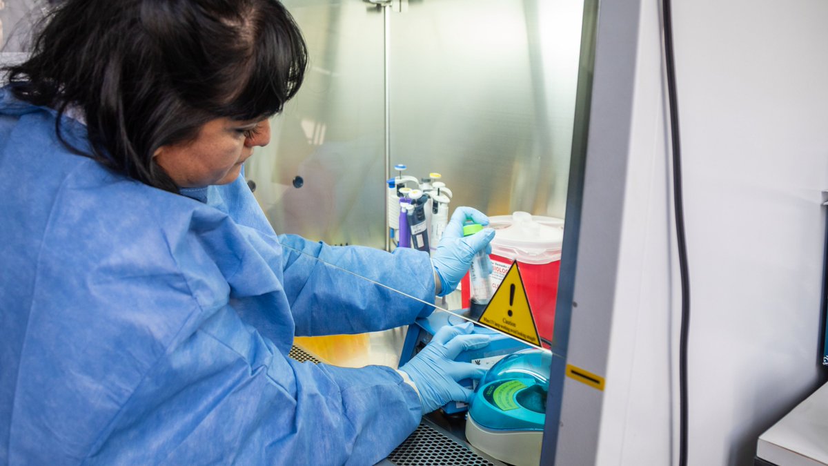 ANLIS_Malbran's tweet photo. Las hepatitis virales continúan siendo un desafío para el sistema sanitario nacional, pero existen herramientas para prevenirlas, diagnosticarlas y tratarlas. La vacunación contra las hepatitis A y B constituye la principal medida de protección, mientras que la hepatitis C puede curarse con tratamientos antivirales eficaces. El acceso a la información y al diagnóstico oportuno es fundamental para reducir su impacto en la población.

El Laboratorio Nacional de Referencia para Hepatitis Virales del Instituto Nacional de Enfermedades Infecciosas (INEI) de la ANLIS Malbrán fortalece la respuesta frente a estas infecciones mediante el diagnóstico referencial, la vigilancia epidemiológica molecular y ambiental, la investigación y el asesoramiento técnico-científico. Además, coordina la Red Nacional de Laboratorios de Hepatitis Virales.

A través de estas acciones, la ANLIS Malbrán contribuye a la detección oportuna de los casos, a la vigilancia epidemiológica y a la generación de evidencia científica para orientar las estrategias sanitarias de prevención y control en todo el país.