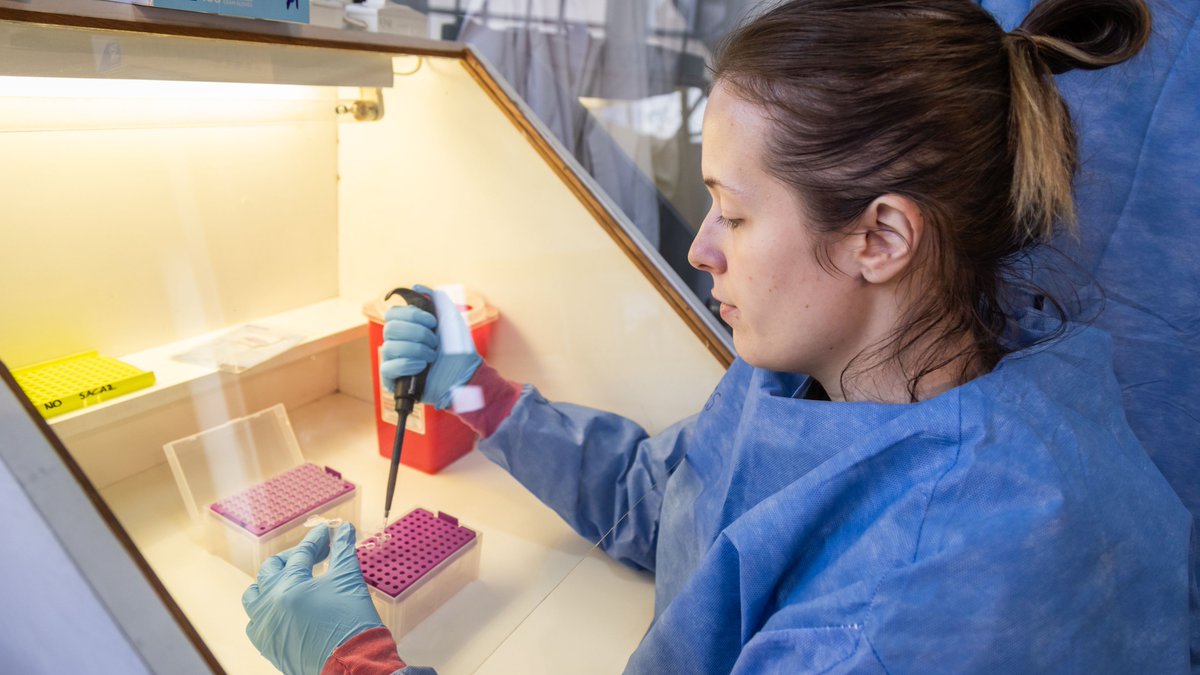 ANLIS_Malbran's tweet photo. Las hepatitis virales continúan siendo un desafío para el sistema sanitario nacional, pero existen herramientas para prevenirlas, diagnosticarlas y tratarlas. La vacunación contra las hepatitis A y B constituye la principal medida de protección, mientras que la hepatitis C puede curarse con tratamientos antivirales eficaces. El acceso a la información y al diagnóstico oportuno es fundamental para reducir su impacto en la población.

El Laboratorio Nacional de Referencia para Hepatitis Virales del Instituto Nacional de Enfermedades Infecciosas (INEI) de la ANLIS Malbrán fortalece la respuesta frente a estas infecciones mediante el diagnóstico referencial, la vigilancia epidemiológica molecular y ambiental, la investigación y el asesoramiento técnico-científico. Además, coordina la Red Nacional de Laboratorios de Hepatitis Virales.

A través de estas acciones, la ANLIS Malbrán contribuye a la detección oportuna de los casos, a la vigilancia epidemiológica y a la generación de evidencia científica para orientar las estrategias sanitarias de prevención y control en todo el país.