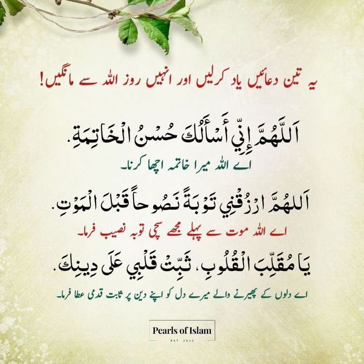 itsattiya's tweet photo. السلام علیکم ورحمتہ اللہ وبرکاتہ 🌹 https://t.co/dl1PccUHnG