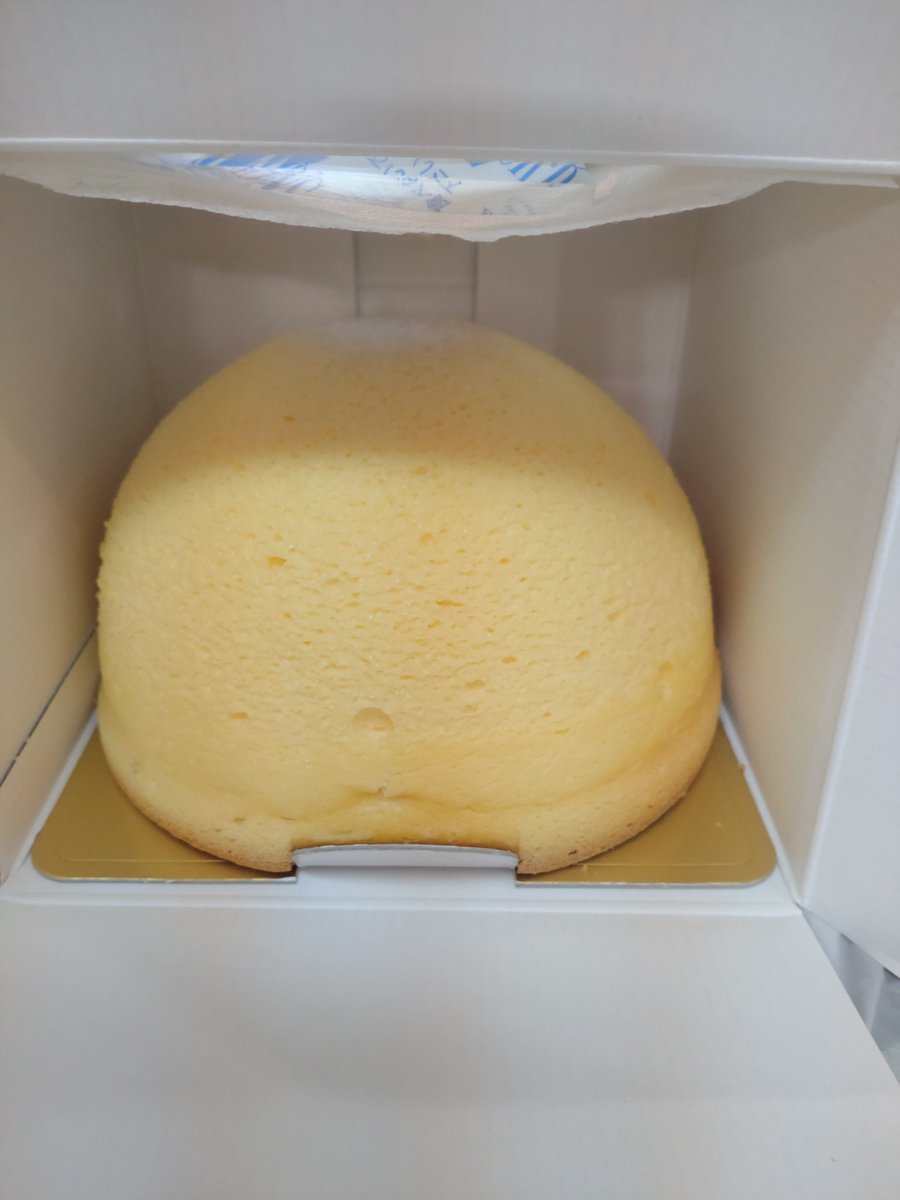 doramicchitter's tweet photo. ナイフがないからって、船の上でみんなでフォークでつっついてたべましたー！
ズコットチーズケーキ
見た目でテンション上がります！！
 #ポミー https://t.co/TTWHVFjQSb