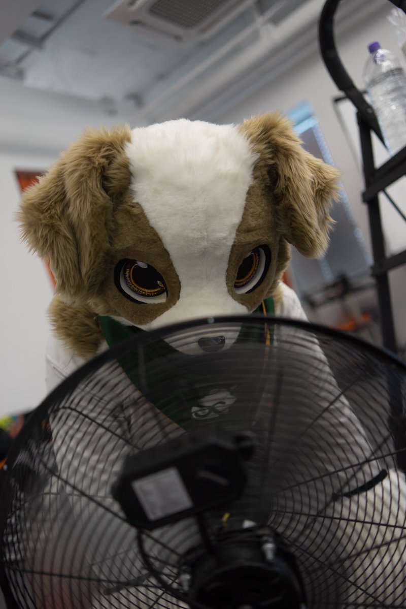 Levy_comet's tweet photo. #FursuitEveryday 
너무..더워요.. https://t.co/HDF7wOYV3G