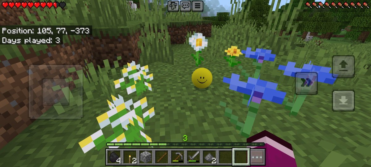 RoseabellaG's tweet photo. I love the silly yellow ball >w<

I also made him a little flower garden:3 I think he likes it
#digitalart #minecraft #verity https://t.co/TIelJEaJrF