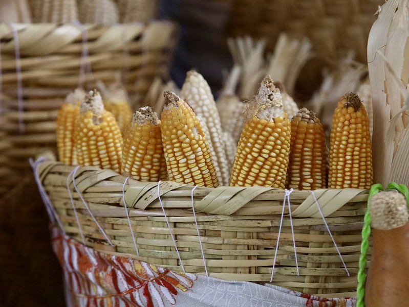 Ramiro_Escoto's tweet photo. #Jalisco busca replicar el modelo agrícola de Nebraska. El titular de la @SaderJal , @LaloRonR , concretó una agenda de cooperación con #EEUU. que incluirá giras técnicas para productores y un programa de intercambio para jóvenes del sector rural.

 La meta: importar innovación, agricultura de precisión y tecnología de punta al campo jalisciense.