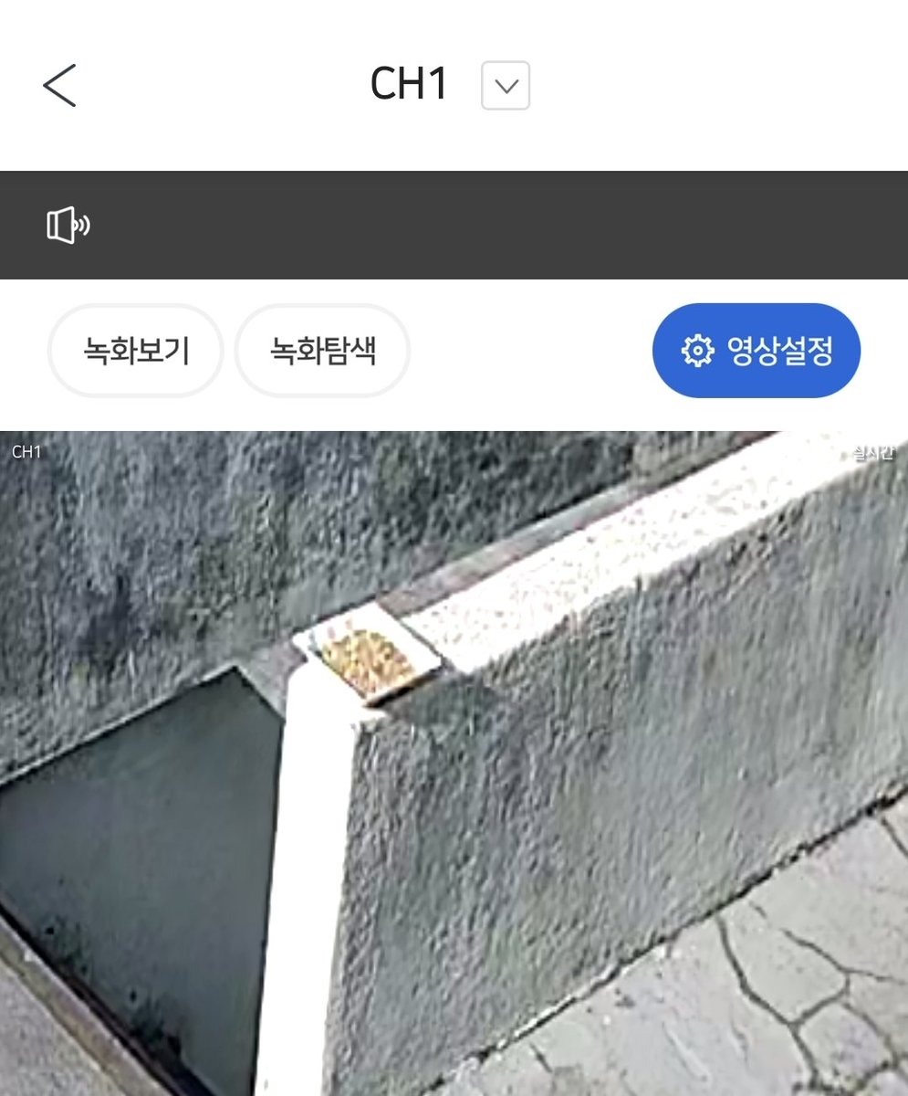 apfhd23's tweet photo. 새 모이를 내놓는데 먹을까? https://t.co/J1vyiuQFDd