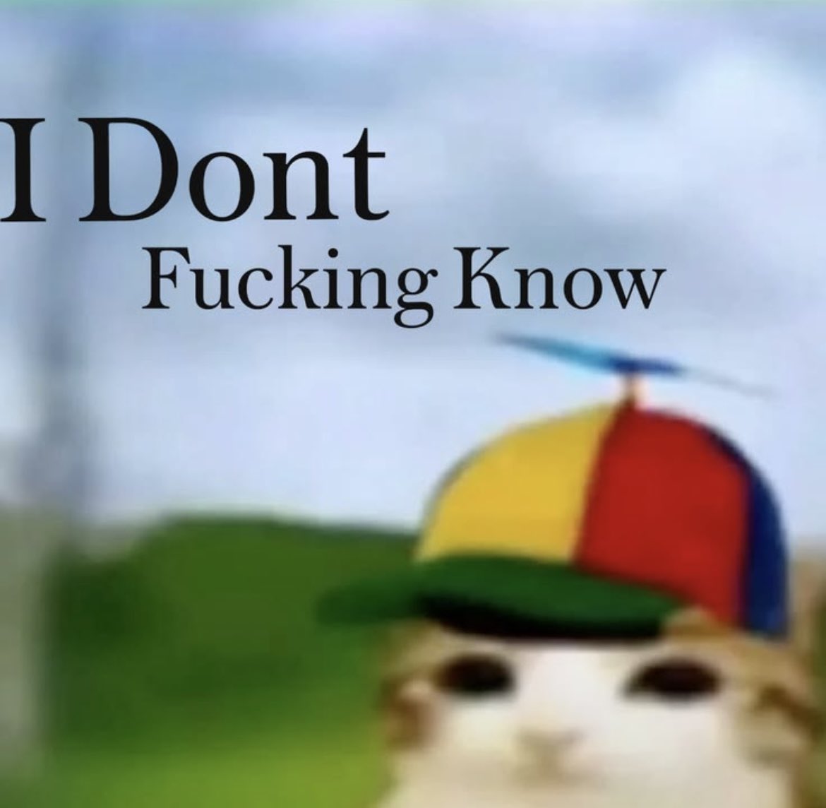 meowlreal1's tweet photo. https://t.co/bA3bTAS78P