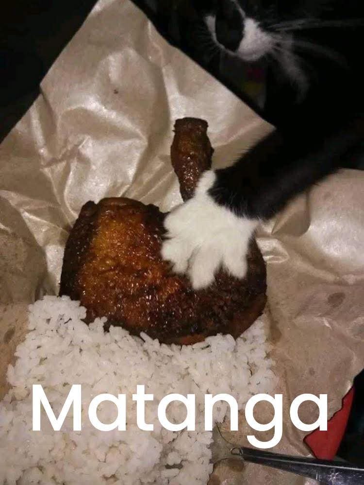 MarshmallowVT's tweet photo. Te quite el pollito! ven a recuperarlo! 😈

https://t.co/0ChtFZ8MQ0
https://t.co/0ChtFZ8MQ0 https://t.co/3JLG9KWZUu