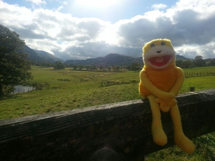 rocio_riveroo's tweet photo. 1- Me llegó el celu nuevo 
2- Me regalaron media docena de alfajores en la farmacia 
3- Una de las peques me regaló un necesser de isadora. Está precioso y re necesitaba uno
4- Estuvo soleado todo el día
5- Bonus: ayer gané el sorteo y me clavé manso sanguche https://t.co/hepGeS9tpa