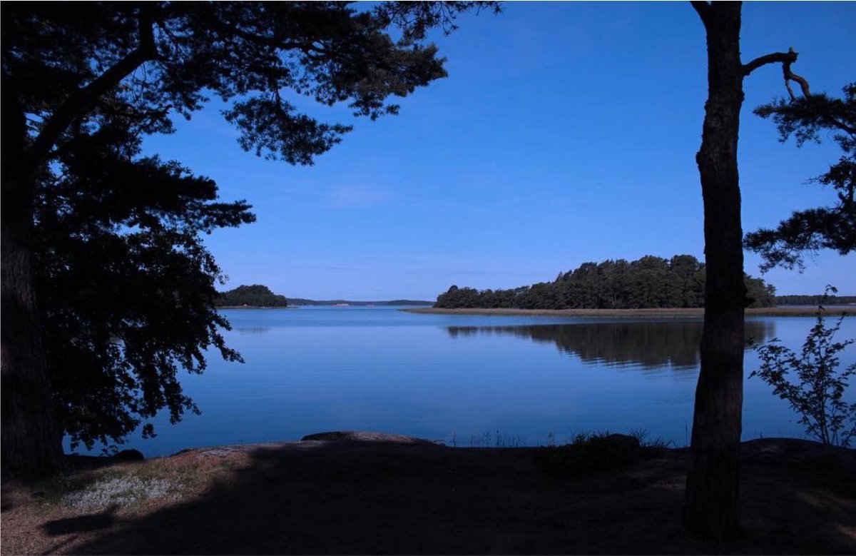 fupgop's tweet photo. @chaiwithnikolai When I was a university student, I wrote a paper about the Finnish artist Akseli Gallen-Kallela. I also visited Finland. I can speak some basic Finnish https://t.co/7F7LAqalYK