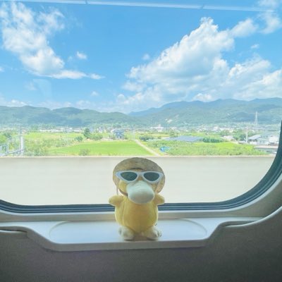 __a__o__01's tweet photo. アイコンを夏仕様に変えました。サングラスの写真が好評で、コダック君も喜んでいます。ありがとう！
#新しいプロフィール画像 https://t.co/bYVQ97xJMo