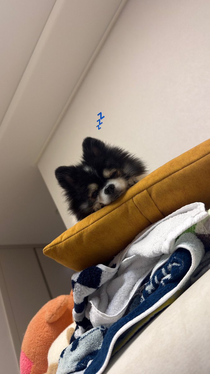 neulpoca's tweet photo. well well well https://t.co/gZpHzXF7Qn