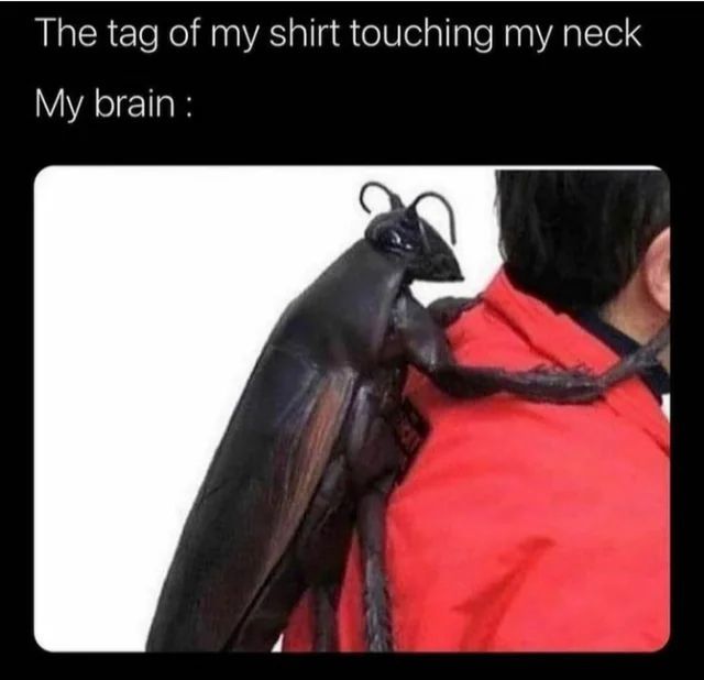 geeked memes tweet media