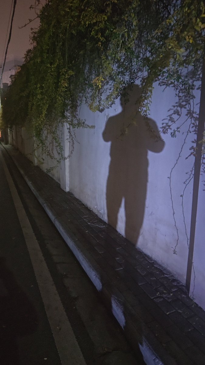 peep0716's tweet photo. 原来那些熬不过的夜、跨不过的坎，最终都成了铺着我们长大的砖。慢慢才懂，成长不是变得无所畏惧，而是带着遗憾继续向前。 https://t.co/kLofsnDYsm