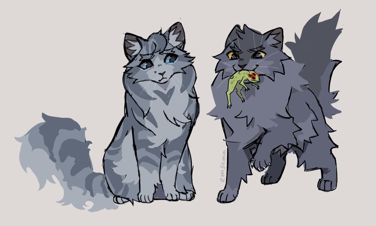 Emscaa's tweet photo. Drawing Feathertail got me thinking, Stormfurs kits must be some of the most genetically diverse in clan-descended cats https://t.co/13TnpMDkuj