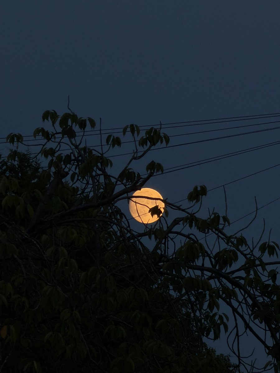 yvsmin_'s tweet photo. i am obsessed with the moon https://t.co/0tg8aeztOY