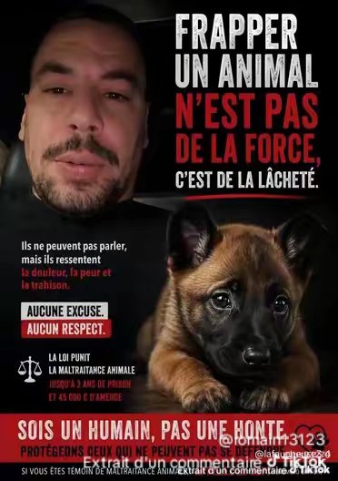 Marcbibou's tweet photo. Mortadon va etre écroué en attendant le procès il risque jusqu'à 3 ans de prison ferme , sauf si l’Albanie souhaite donner l’exemple envers les étrangers en vacances et doubler la mise .
#mortadon https://t.co/QlTtUfzYZF