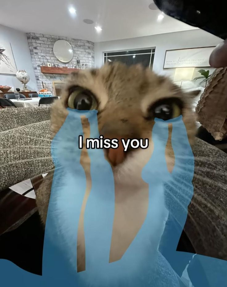 7i__g's tweet photo. https://t.co/3ybVqME79O