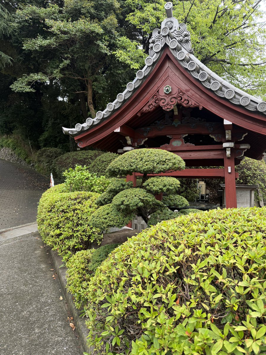 sr_hsgw's tweet photo. 昨日の脱毛した箇所、腫れや赤みなく問題なし
今日も一日好調 https://t.co/aakKpUrF00