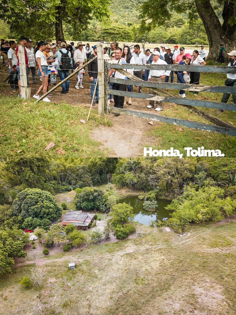 harmanfelipe's tweet photo. ¡Le seguimos cumpliendo a los pescadores del Magdalena Medio!

Materializamos el compromiso del presidente @petrogustavo con la entrega del predio Villa Cecy a la Cooperativa Copemag, en Honda, Tolima, impulsando la transición hacia la agricultura de las familias pescadoras.

Ahora, además de habitar el agua, tendrán tierra para sembrar, producir alimentos y fortalecer su autonomía