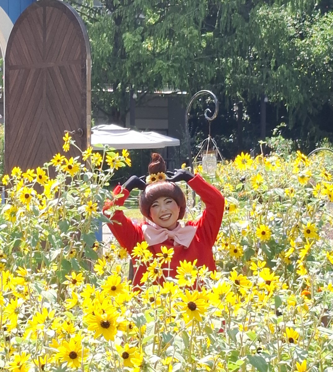 みみ♡ tweet media