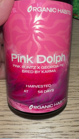royal37499's tweet photo. @organichabitsco @Hellaheadz Saw these pop up in my city. Are they fakes or just alternate packaging? Isn't this an older drop too? https://t.co/At9D0p083J