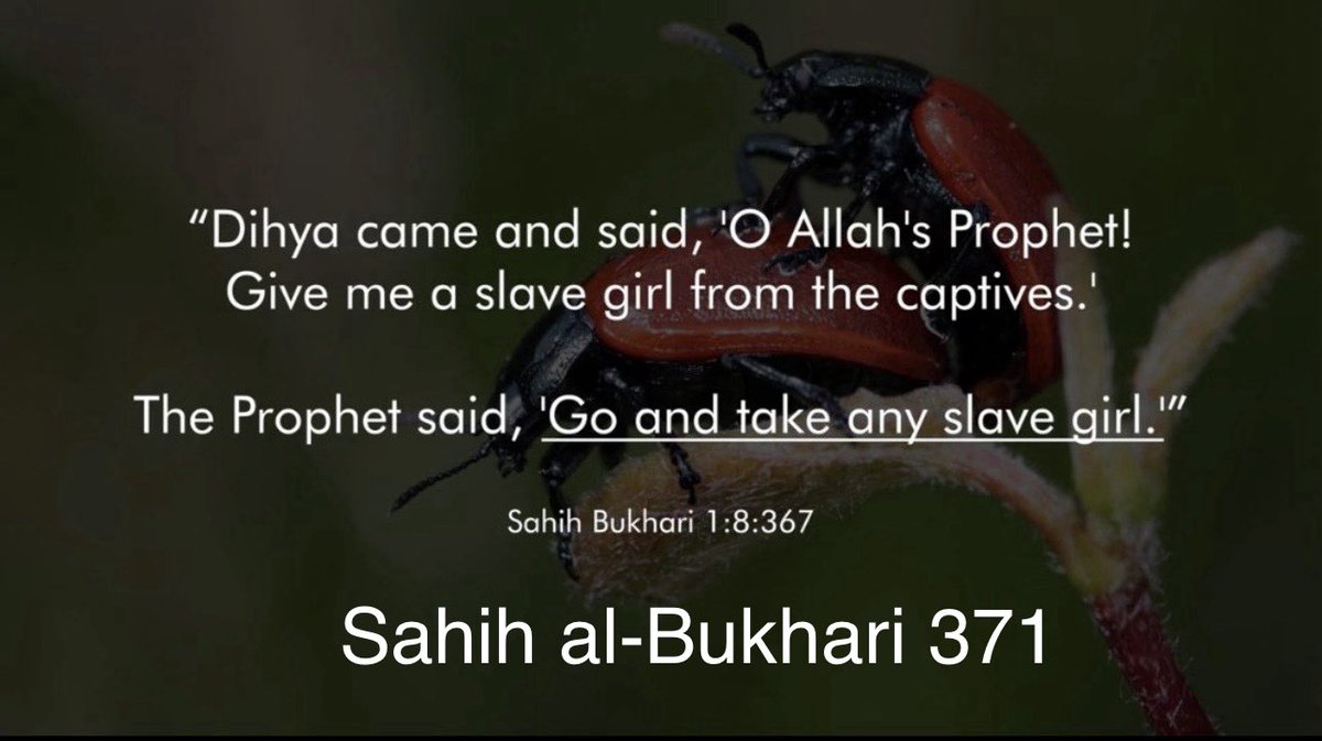 RationalismRule's tweet photo. @Lxzin @Ahraz__ So… You DON’T want to copy Mohammad?

If you wanted to be an authentic copy of Mohammad as much as possible you would:
— Start 29 wars in a short time
— Behead several people in a single day
— Capture the wives of your enemies to force them into sex slavery to be your sex toys… https://t.co/dErn2WIrLo