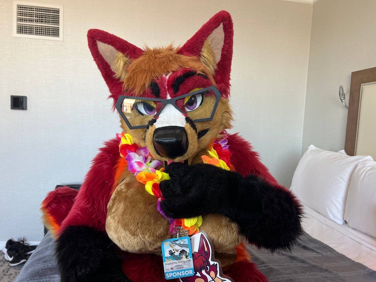 kakino kitsune tweet media