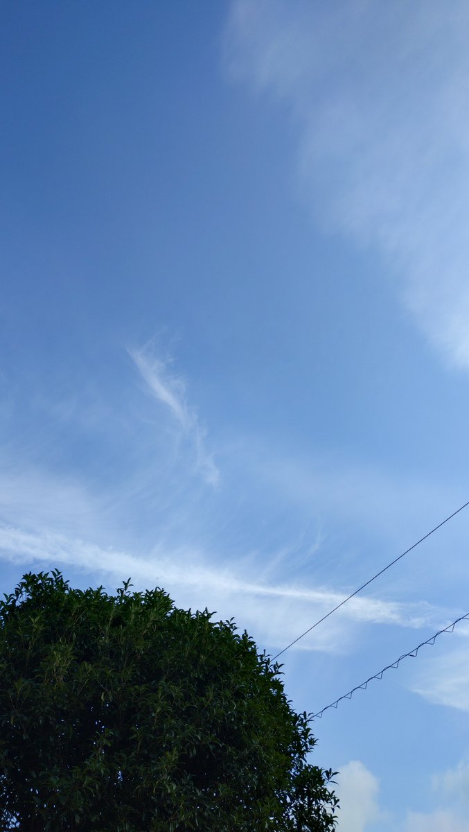 kjun23's tweet photo. おはようございます。
今朝も青空が広がります。
中々雨が降りません。
あれこれ影響が出ないといいのですが。

皆様、良い一日を。 https://t.co/wAzBpyaq2k