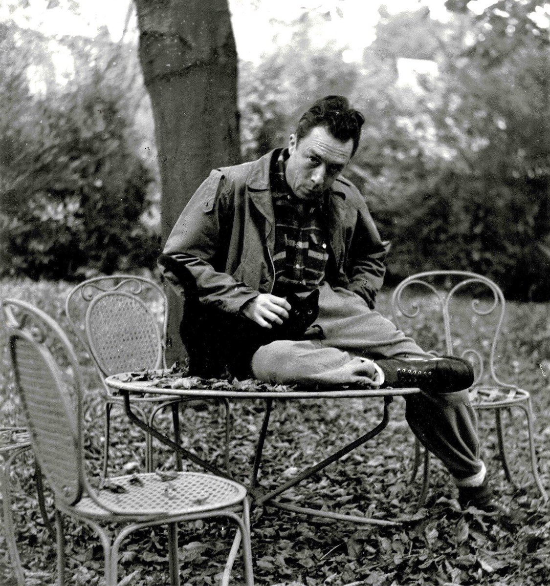 Naturalphilosy's tweet photo. “Sometimes, carrying on, just carrying on, is the superhuman achievement.”

— Albert Camus https://t.co/5BFKHKDlBp