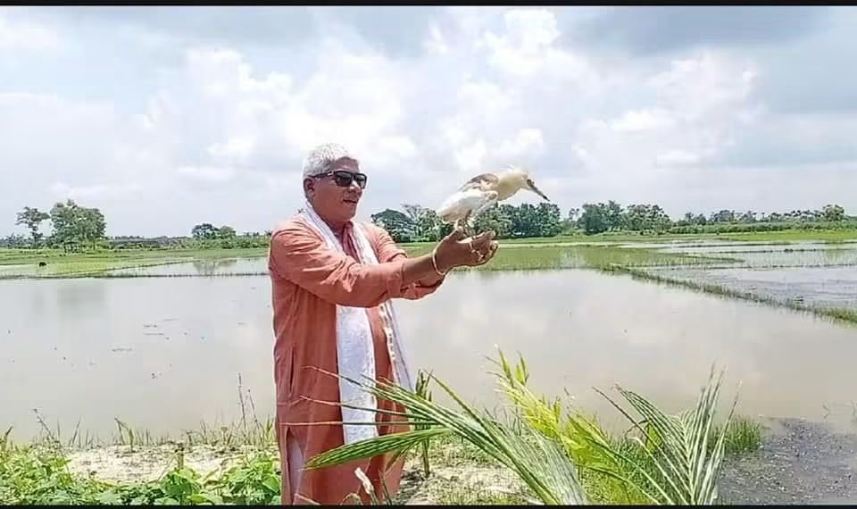 anupam_mallik's tweet photo. আজ বিশ্ব প্রকৃতি সংরক্ষণ দিবস। আসুন সবাই প্রকৃতি কে বাঁচানোর চেষ্টা করি।
#WorldNatureConservationDay https://t.co/SnIE47YVAv