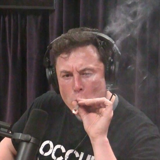 kshiraja2207's tweet photo. @Elonspacemedia bro thinks he’s in the season finale 😭🙏 https://t.co/sx2wkFNxyN