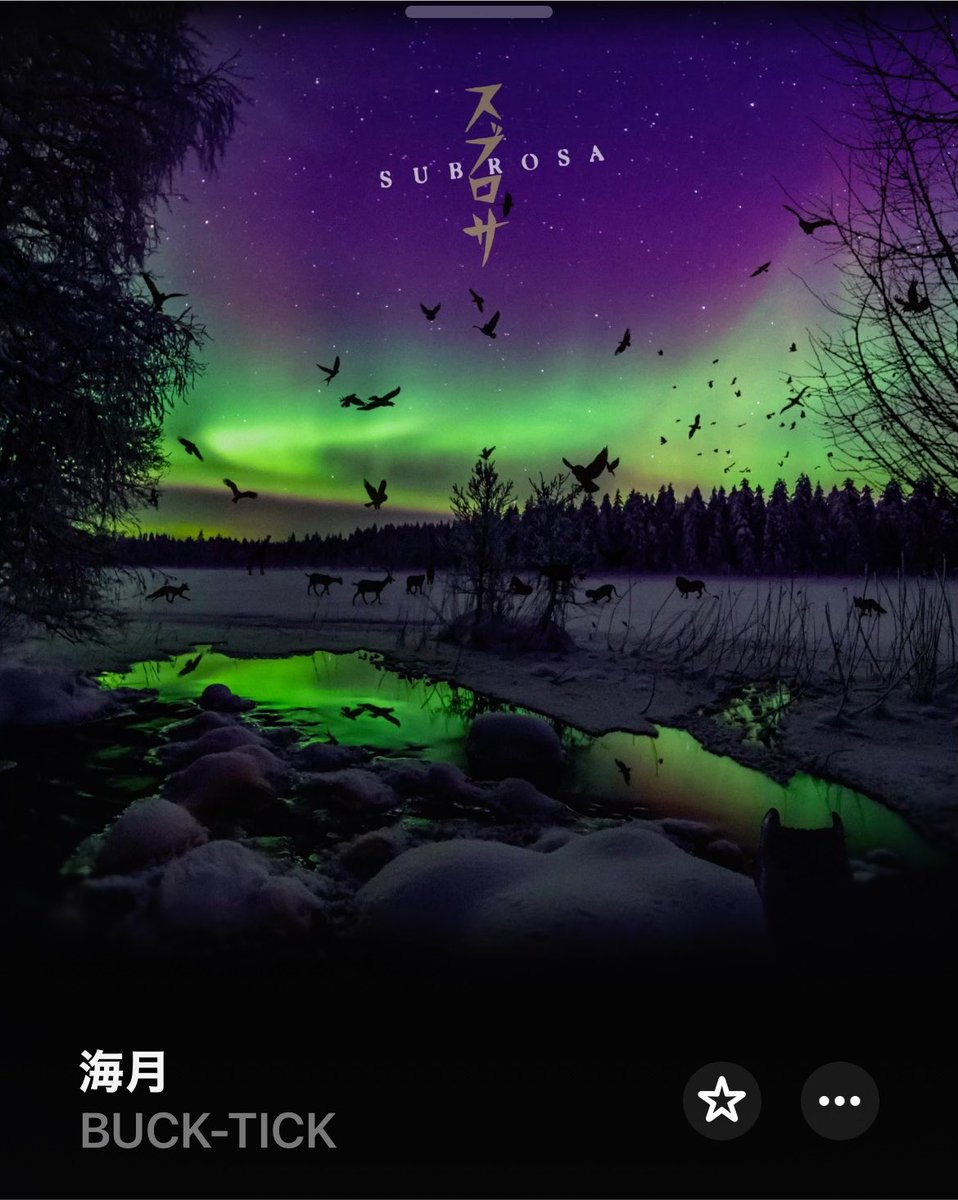 海月様ご専用 nowplaying BUCK∞TICKの海月からのhakanaiの海月で余韻に浸る。 これ