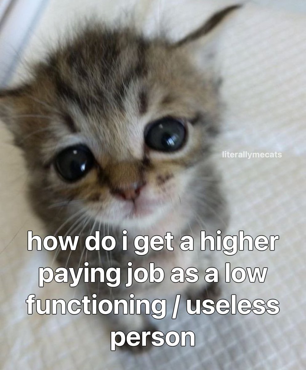 literallymecats's tweet photo. https://t.co/bX4JJZiNXb