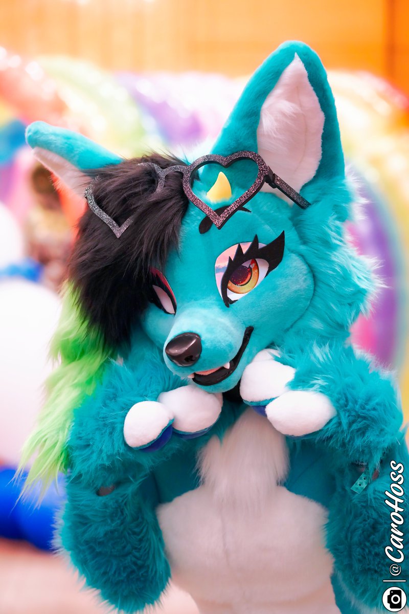 VeryBerryPup's tweet photo. Would you rather boop or kiss? 🫣😖 https://t.co/AfntUePJne