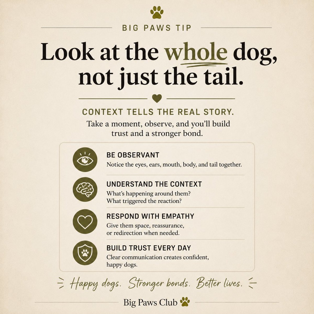 BigPawsClub's tweet photo. Dogs communicate with their entire body—not just their tail. Learning to read their eyes, ears, posture, and movement can help you better understand how they’re feeling.

Swipe through to learn what to look for. ❤️

#BigPawsClub #DogBodyLanguage #DogBehavior #DogTips https://t.co/rvsHbFYR7l