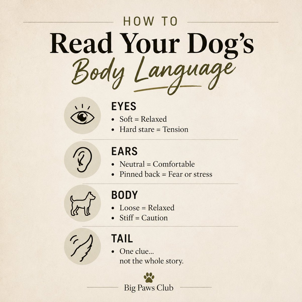 BigPawsClub's tweet photo. Dogs communicate with their entire body—not just their tail. Learning to read their eyes, ears, posture, and movement can help you better understand how they’re feeling.

Swipe through to learn what to look for. ❤️

#BigPawsClub #DogBodyLanguage #DogBehavior #DogTips https://t.co/rvsHbFYR7l