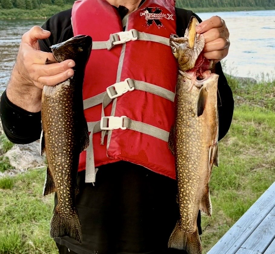 turr1959's tweet photo. Couple of dandy speckled this evening .. https://t.co/SNroaDUQao