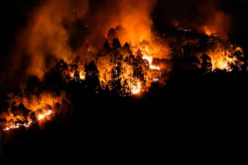 PrensaLatina_cu's tweet photo. Prensa Latina @PrensaLatina_cu
El ministro de Relaciones Exteriores de #Cuba🇨🇺, 
#BrunoRodríguez, expresó hoy la solidaridad de su país con #España🇪🇸 ante los incendios forestales que afectan varias provincias de esa nación europea.
🔗https://t.co/MKEZmj7gAy https://t.co/swLxTRTZgC
